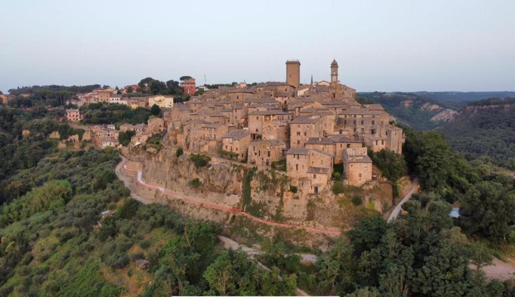 Appartamento Cortile Nel Borgo Civitella dʼAgliano Esterno foto